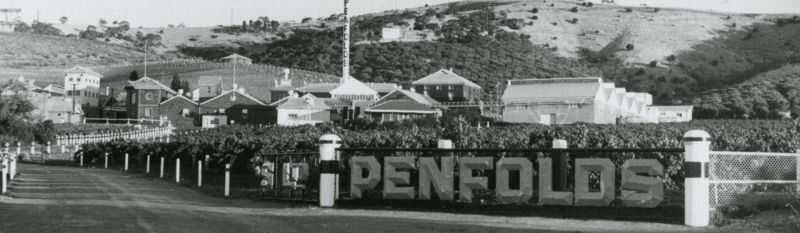 Penfolds history