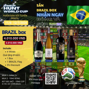 BRAZIL Box