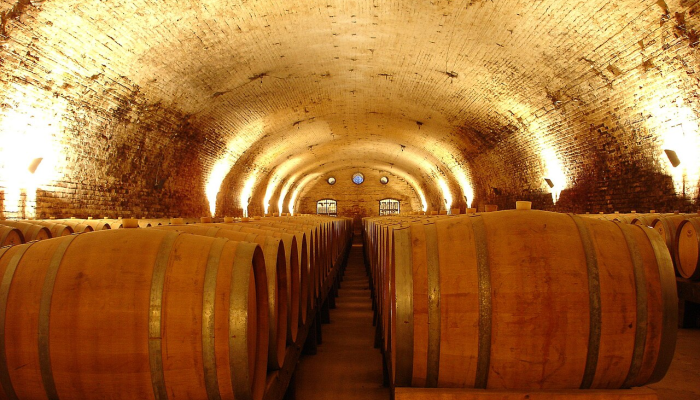chile wine