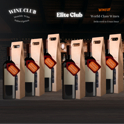 wine tasting at home home wine experience