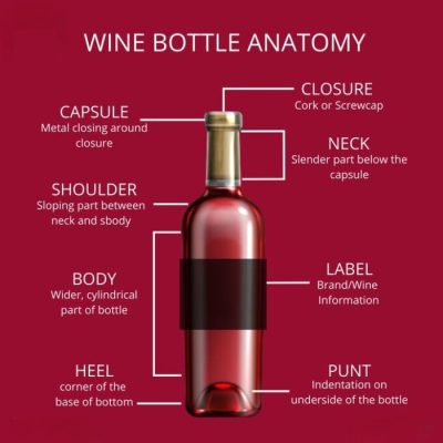 Wine region illustration: "Old World vs New World wine regions on a label"