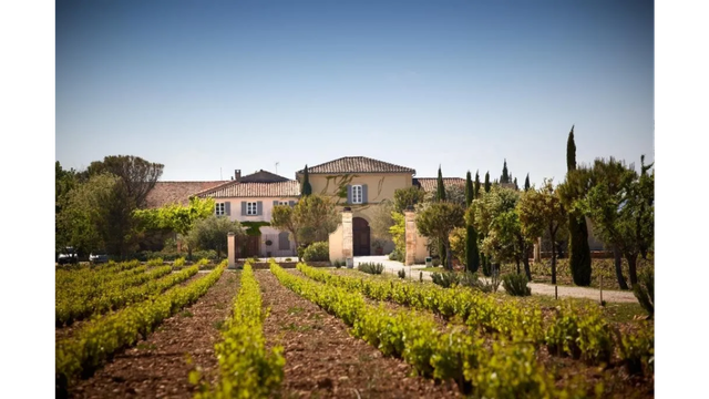 Bordeaux wine region