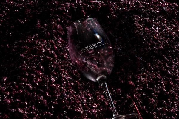 Anderson Hill vineyard on a hillside in Lenswood, Adelaide Hills, Australia