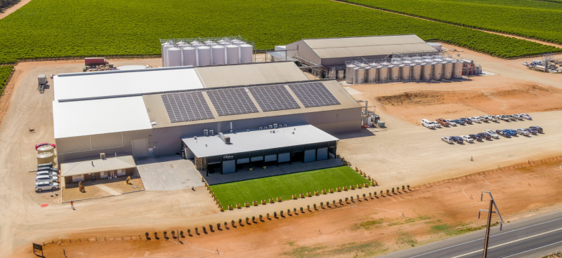 Salena Estate vineyard and winery in the Riverland, South Australia