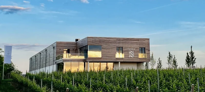 Thörle vineyards on limestone soil in Saulheim, Rheinhessen, Germany